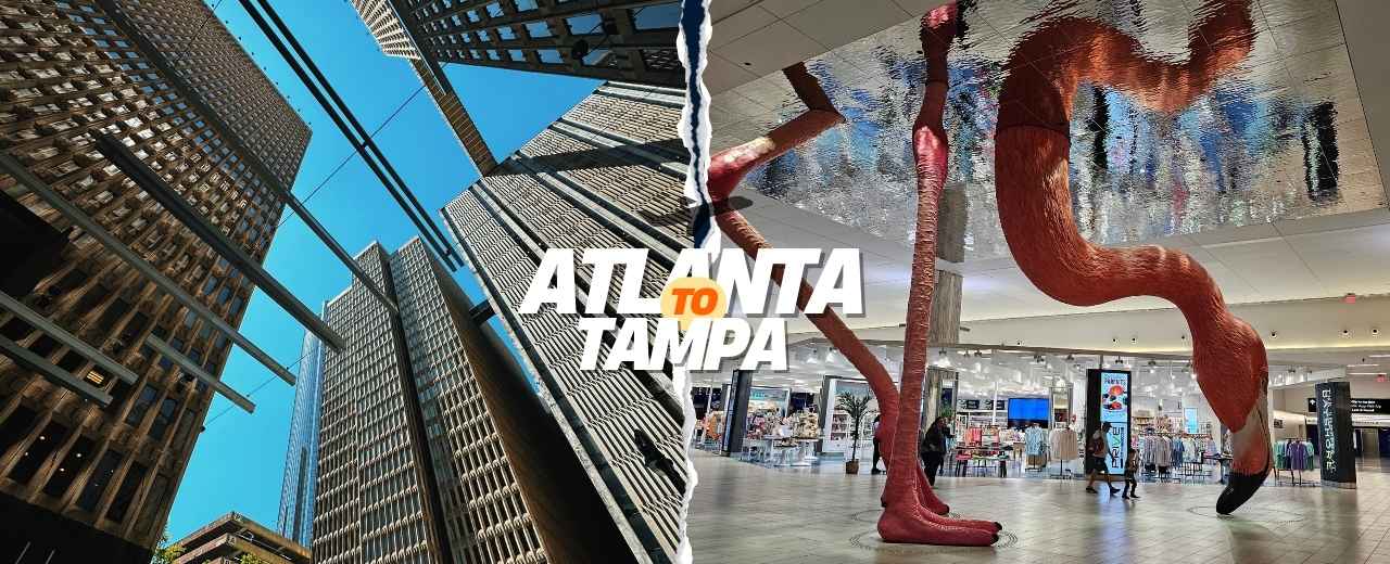 Flights from Atlanta to Tampa