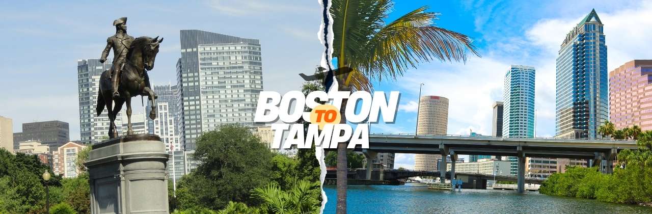 Flights from Boston to Tampa