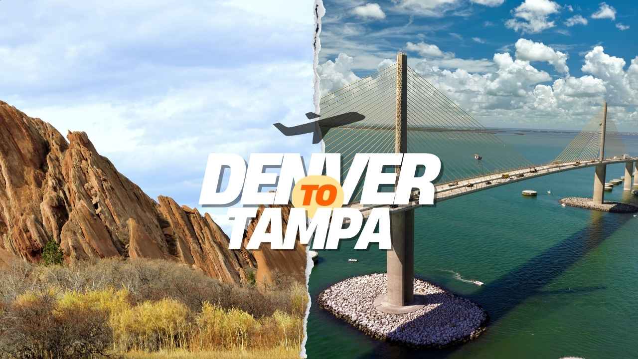 Flights from Denver to Tampa