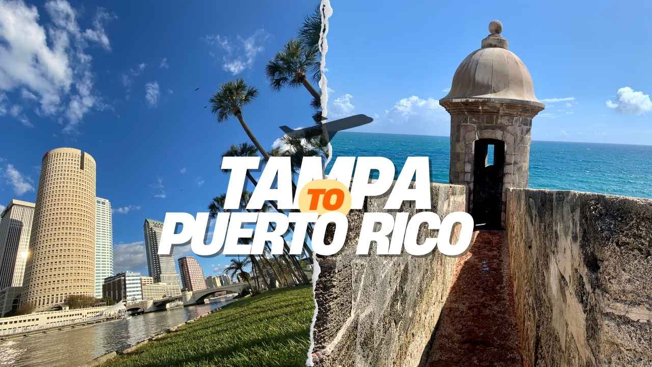 Flights from Tampa to Puerto Rico
